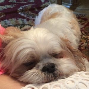 Meet your Posher, Robin